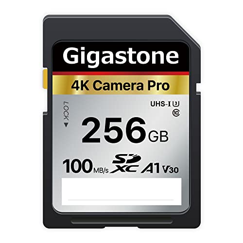 Gigastone 256GB SD Card V30 SDXC Memory Card High Speed 4K Ultra HD UHD Video Compatible with Canon Nikon Sony Pentax Kodak Olympus Panasonic Digital Camera, with 1 Mini case - SD 256GB V30 1-Pack