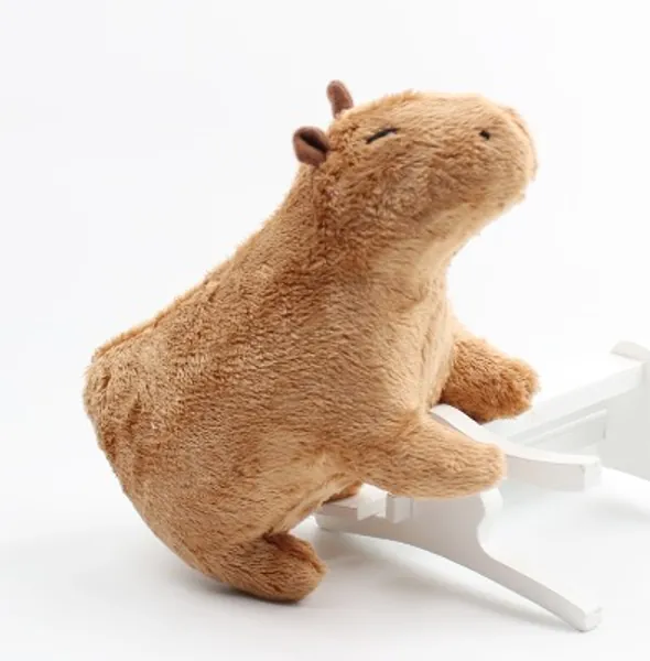 Quandale – Capybara