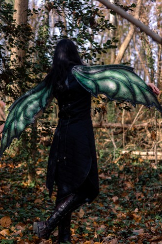 Dragonseye Drake Wings