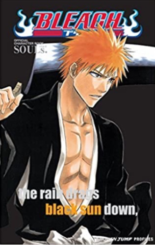 Amazon.com: Bleach SOULs. Official Character Book: 9781421520537: Kubo, Tite: Books