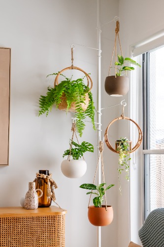 Tension Plant Pole With Hooks - White