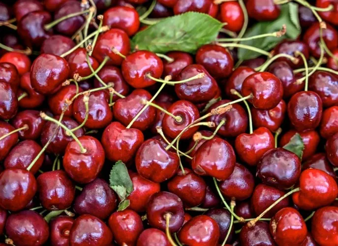 Delicious Xmas cherries!