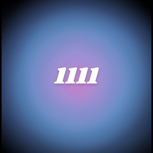 🪽1111🪽