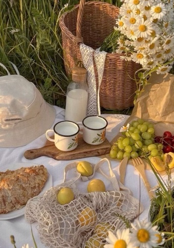 Picnic 🧺 