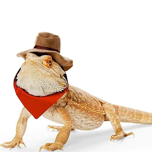 Bearded Dragon Cowboy Hat and Bandana Set
