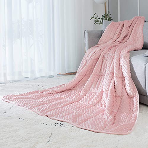 ALANSMA Reversible Weighted Blanket for All Season, Luxury Velvet, Warm and Cool, Adult Kids 5Lb Weighted Blanket, Enjoy Sleeping Anywhere(Pink,36"x48" 5lbs) - Pink - 36''x48'' 5lbs