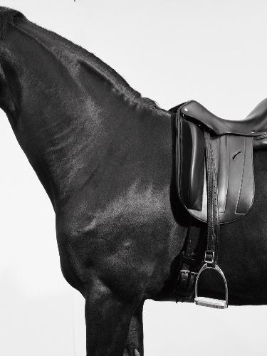 10 riding lessons