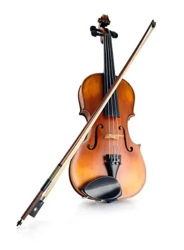 Viola