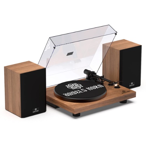 Vinyl Record Player