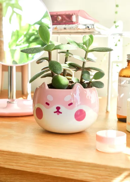 Shiba Planter