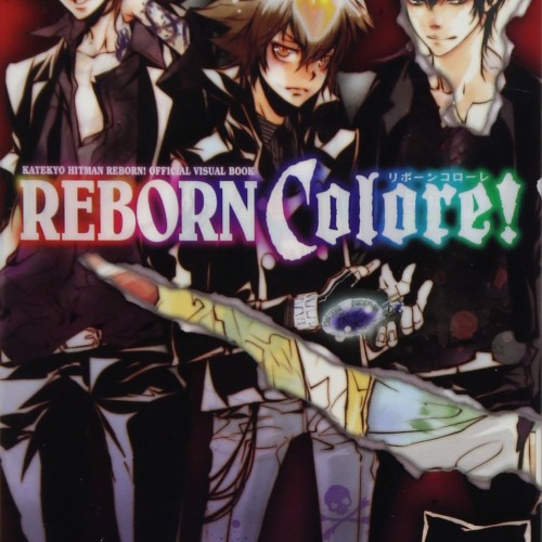 Katekyo Hitman Reborn Official Visual Book REBORN Colore! di Monomania | Tokopedia