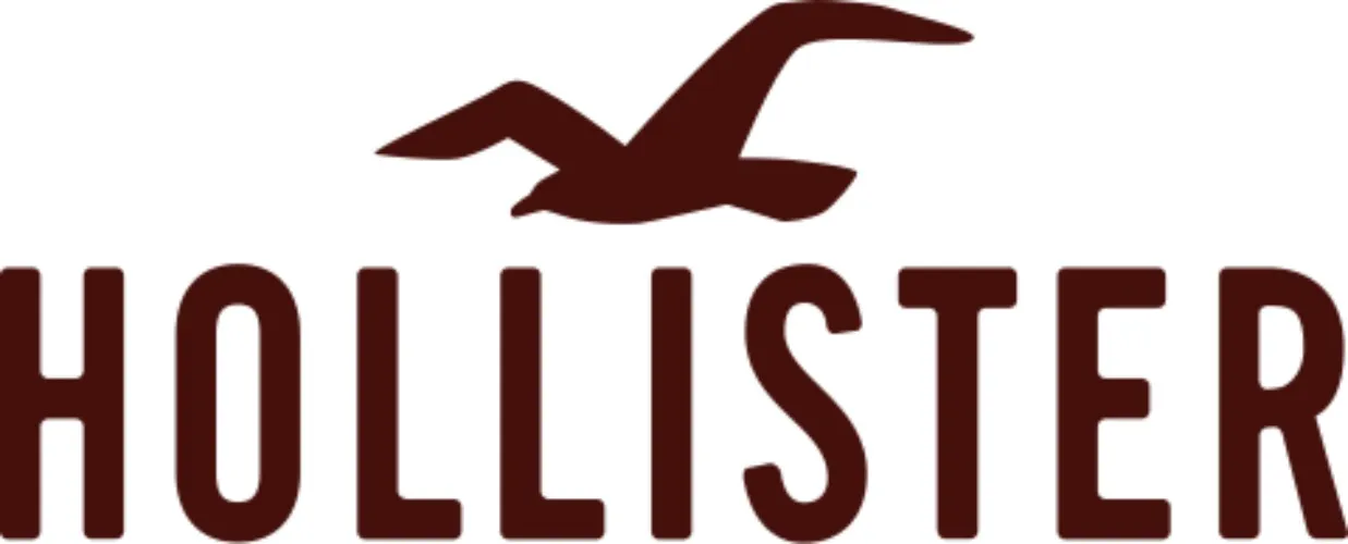 Hollister shopping