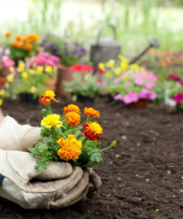 Gardening Supplies 😮‍💨