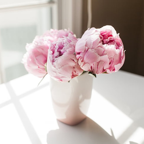 Gift Flowers for Me to Arrange