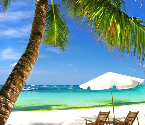 Vacation contribution 