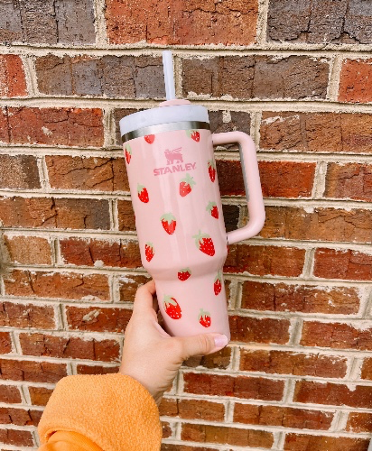 hand-painted strawberry stanley 🍓💦