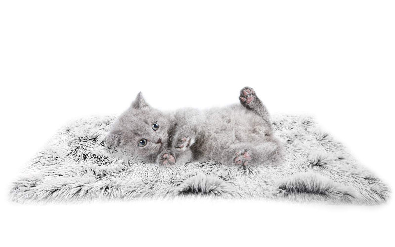 PJYuCien Fluffy Fleece Cat Dog Blanket, Soft Warm Pet Throw Blanket for Dogs & Cats (Small 16" x 24") - 