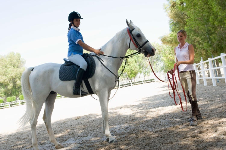 Horse Riding lesson with senior instructor