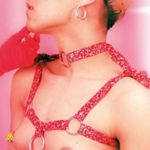 Harnais Vilaine Cokine 