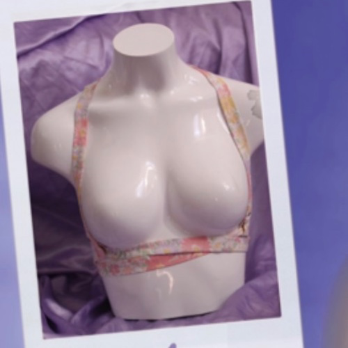 Harnais Vilaine Cokine