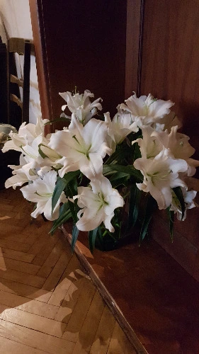 Bouquet of Lily