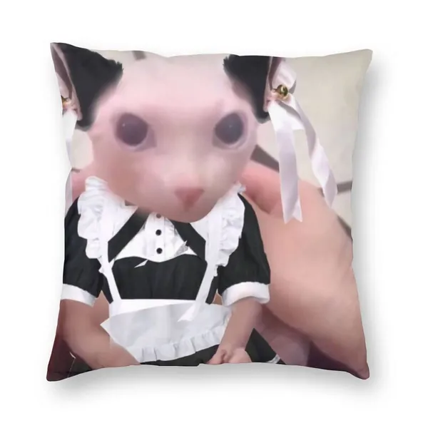 3.54US $ 52% OFF|Cute Bingus Meme Cushion Cover 40x40cm Decoration Printing Funny Sphynx Cat Throw Pillow For Sofa Double-sided - Cushion Cover - AliExpress