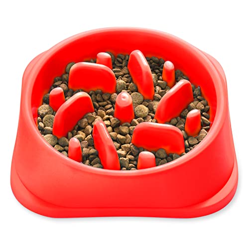 Slow Feeder Bowl for Maggie Dog