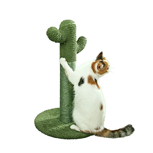 PetnPurr Cactus Cat Scratcher – Protect Your Furniture with Our Natural Sisal Cat Scratching Post with Teaser Ball Cat Toy