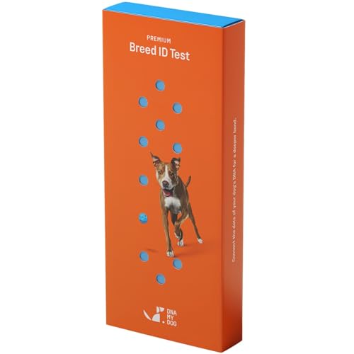 DNA My Dog Premium Test – Premium Breed ID over 300 breeds plus Genetic Age Test, Wolf/Coyote DNA and Mixed Breed Identification, Non-Invasive Cheek Swab for Puppies to Adult Dogs