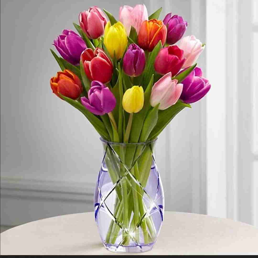 Tulips 🌷