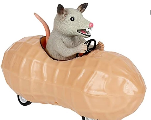 Opossum in a peanut car