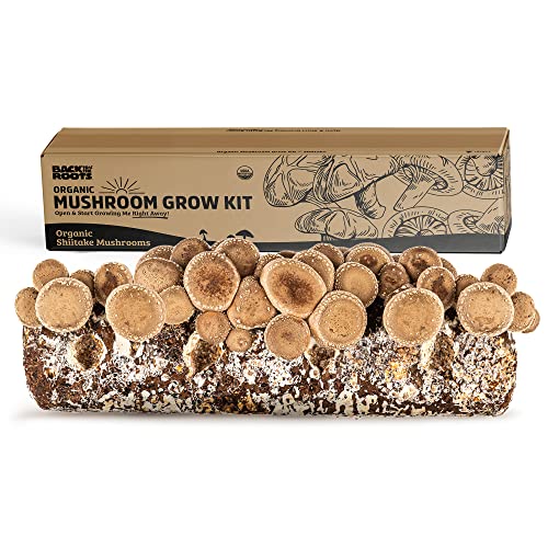 Back to the Roots Organic Shiitake Mushroom Kit; Great Gift; Easy for Beginners, for Indoor Growing - Organic Shiitake Mushroom Kit - Grow Kit