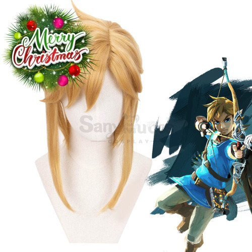 Link Wig (BOTW)