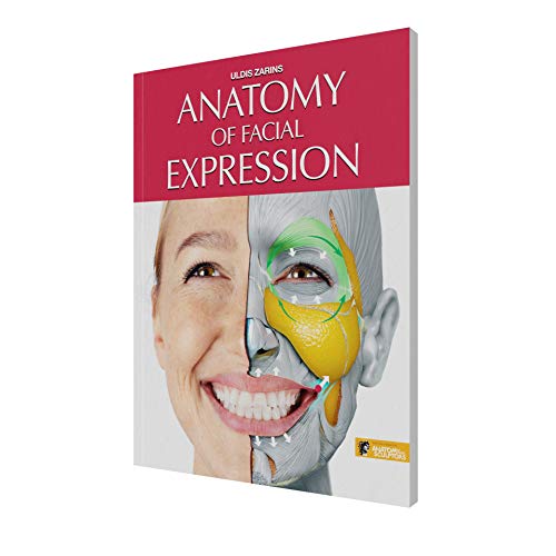 Anatomy of Facial Expressions