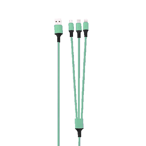 Rainbow 3-Port Long Charging Cable (4ft) - Green