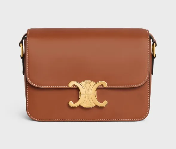 Celine Triomphe Bag in Brown