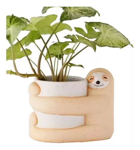 Maceta Decorativa Perezoso Modelo Gran Abrazo 8.5cm Diametro Color Beige Gran abrazo Perezoso