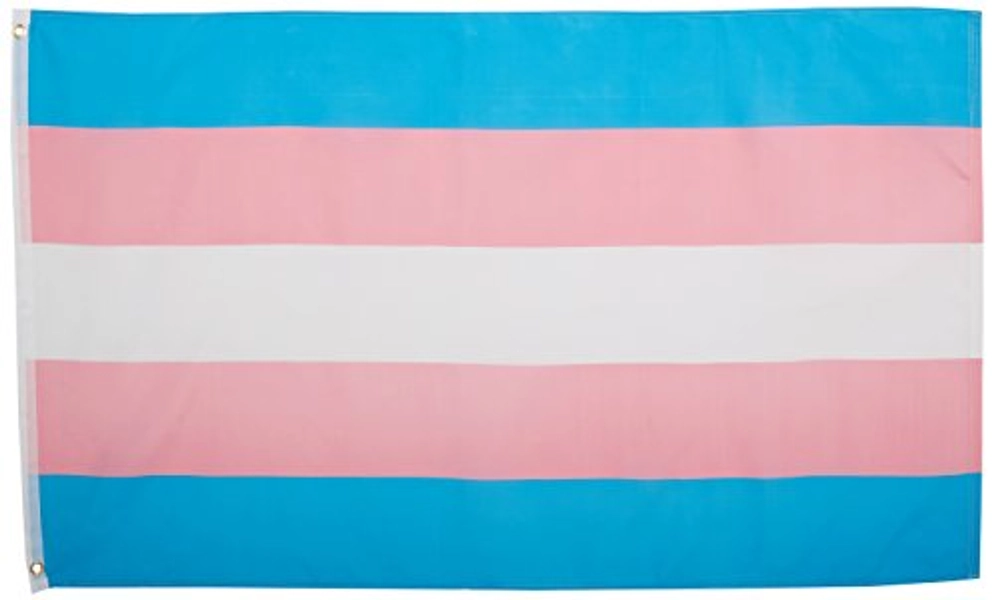 FlagsImp Transgender Pride Flag - Premium Double-stitched 100% Polyester w/Brass Grommets 3' x 5'
