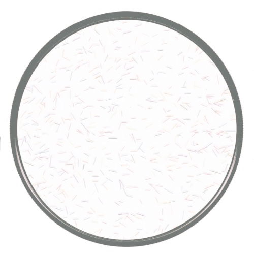 Confetti Lens Filter