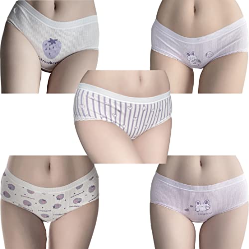 SINMIUANIME Women's Panties Breathable Cotton Brief Cosplay Anime Print Underwear Cute 5-Pack - One Size - 3142