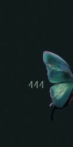 ⁴⁴⁴