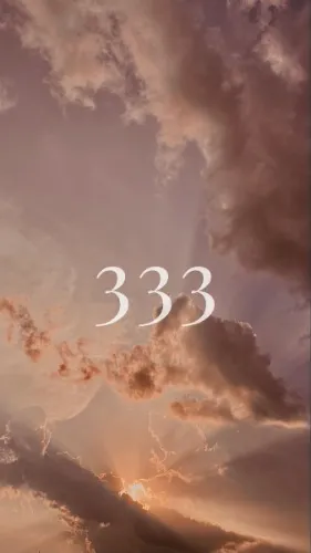 ³³³
