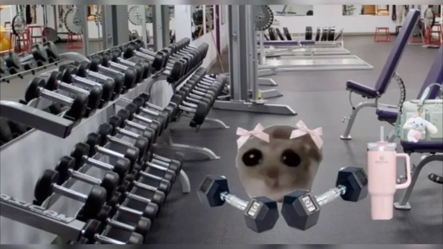 Gym☠☠