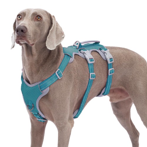 Huntboo No Escape Dog Harness, Escape Proof Harnas, hondenharnas voor grote honden No Pull met handvat, volledig reflecterend, ademend, duurzaam, verstelbaar vest voor wandelen, hardlopen (Blauw, XL) - X-groot (Pak van 1) - Blauw