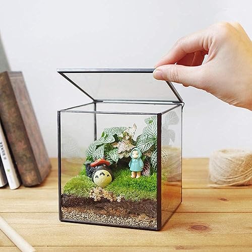 Square Glass Terrarium with Lid Small Indoor Moss Terrarium for Plants Succulent Geometric Terrarium Box Black Small Handmade Tabletop Glass Planter Box for Desktop 4.3 x 4.3 x 4.7inch - Small Square