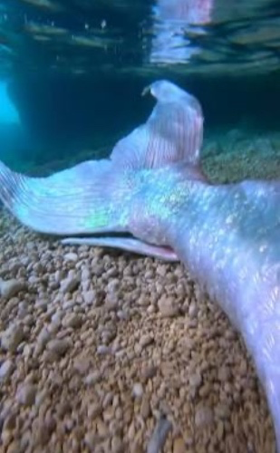 For no reason at all