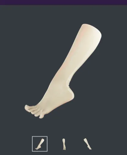 UniqDsn transparent toe socks
