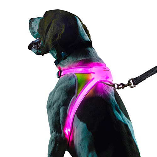 Noxgear LightHound - Multicolor LED Illuminated, Reflective Dog Harness (Medium) - Medium