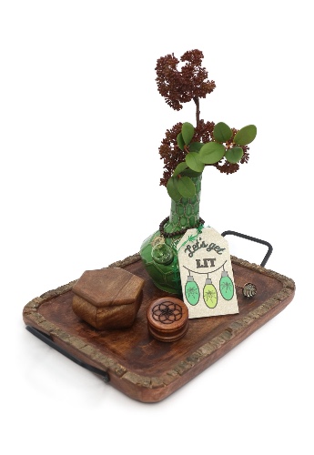 Woodland Turtle Set | Turtle Vase Bong