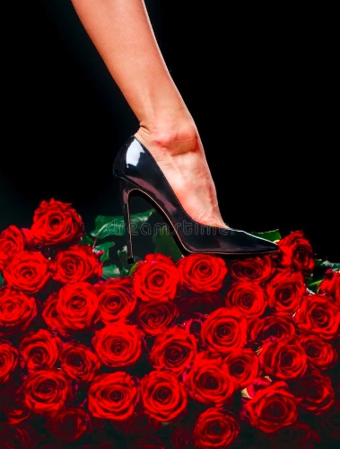 Roses from you under my feet